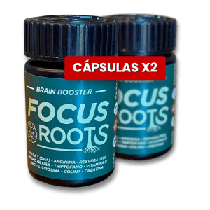 BRAIN BOOSTER 2x60 caps
